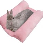 rabbit cage indoor