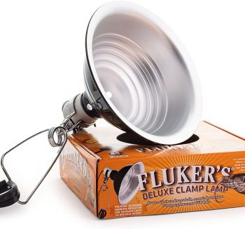 reptile heat lamp
