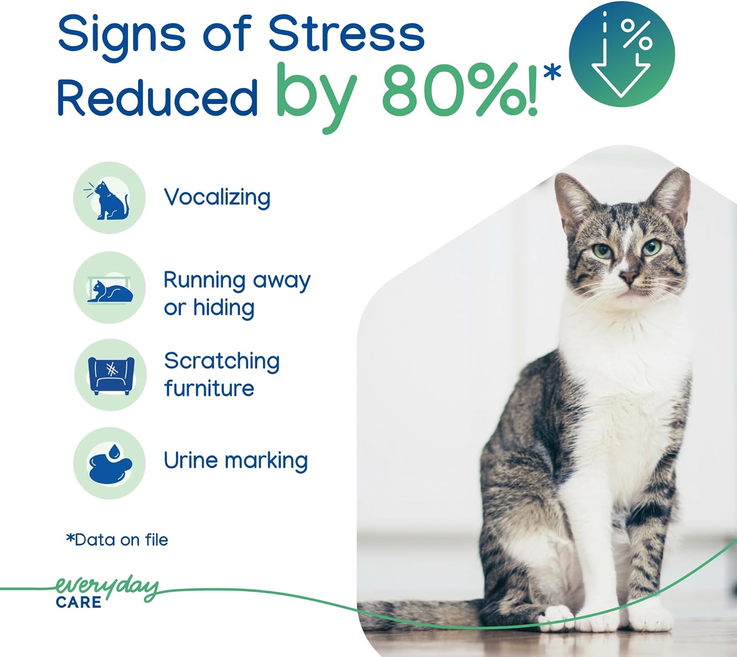 Virbac ZENIFEL™ Gel Diffuser | Managing Stress-Related Behaviors in Kittens & Cats - No Electricity Needed - Lasts Up to 2 Months - Happypetzone.online - Image 3