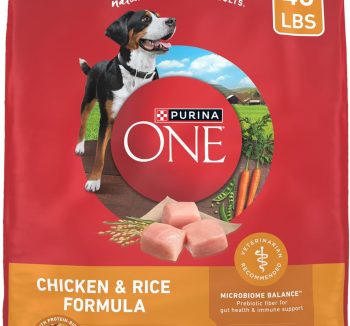 dog food for puppies
