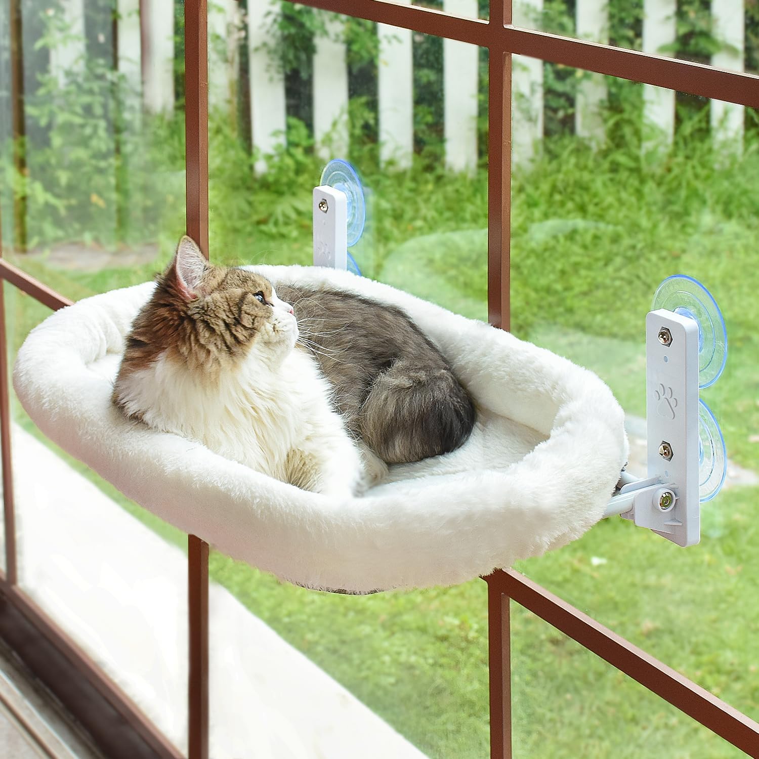 cat accessories cute
