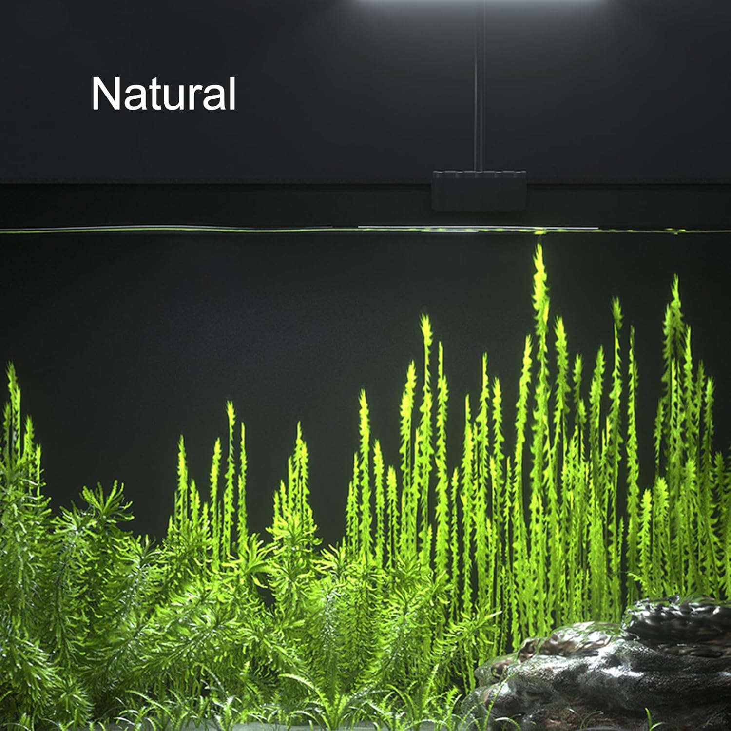 Carefree Fish Aquarium LED Light USB 5V1A RGBW 5730 Timmer 5~10Gal Fish Tank Clip Light 10 Brightness Levels 8W with USB Port (Include UL Certification Power Adapter) - Happypetzone.online - Image 5