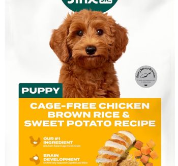 dog food for puppies