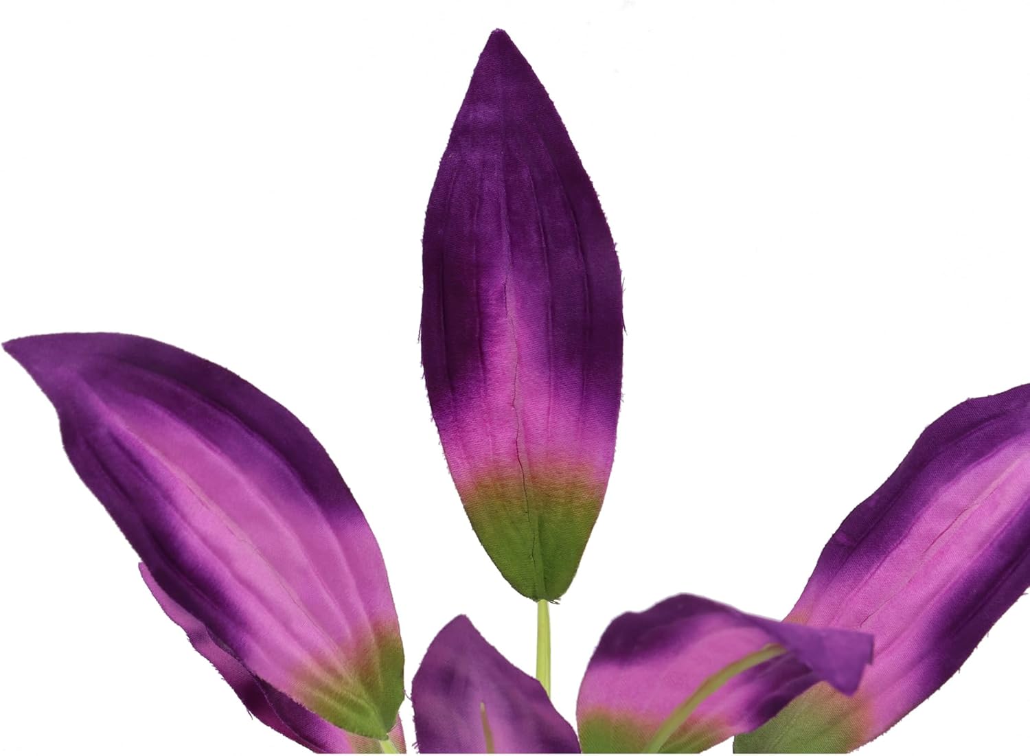 Silk Aquarium Plants for Betta Fish Tank, 2 Pcs 8 Inch Small Silk Aquarium Plant Aquatic Water Grass Decoration, Purple - Happypetzone.online - Image 4