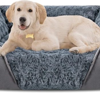 dog bed durable