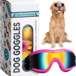 dog sunglasses