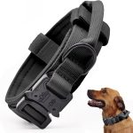 dog collar nylon strong