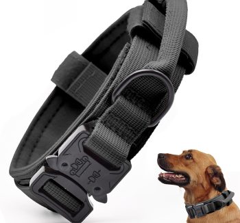 dog collar nylon strong