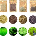 aquarium natural plants