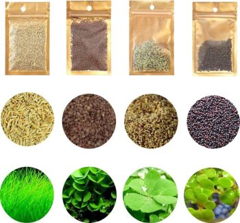 aquarium natural plants