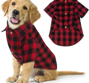 dog christmas outfit