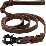 dog leash for large dogs