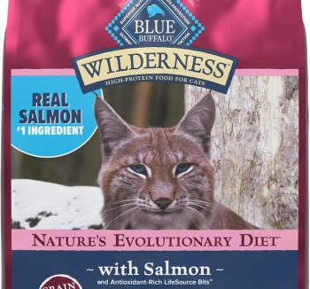 grain free cat food