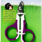 small pet nail clipper