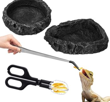 reptile food starter kit