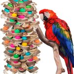 bird chewing toys