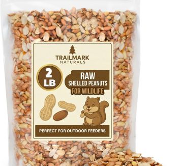 bird food seeds premium