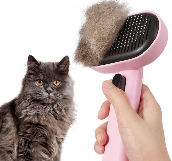cat grooming brush