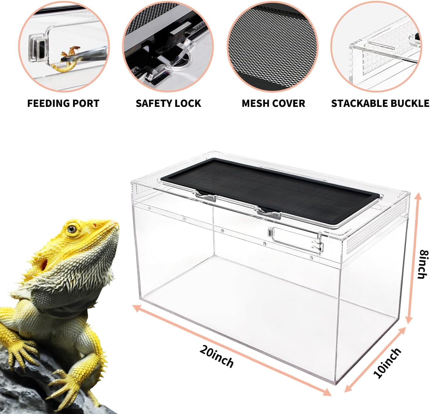 Reptile PC Terrarium Set, Reptile Tank 20" x 10"x 8",for Insect,Fish,Tarantula,Hermit Crab,Jumping Spider,Iguana,Tortoise,Leopard Gecko,Bearded Dragon - Happypetzone.online - Image 3