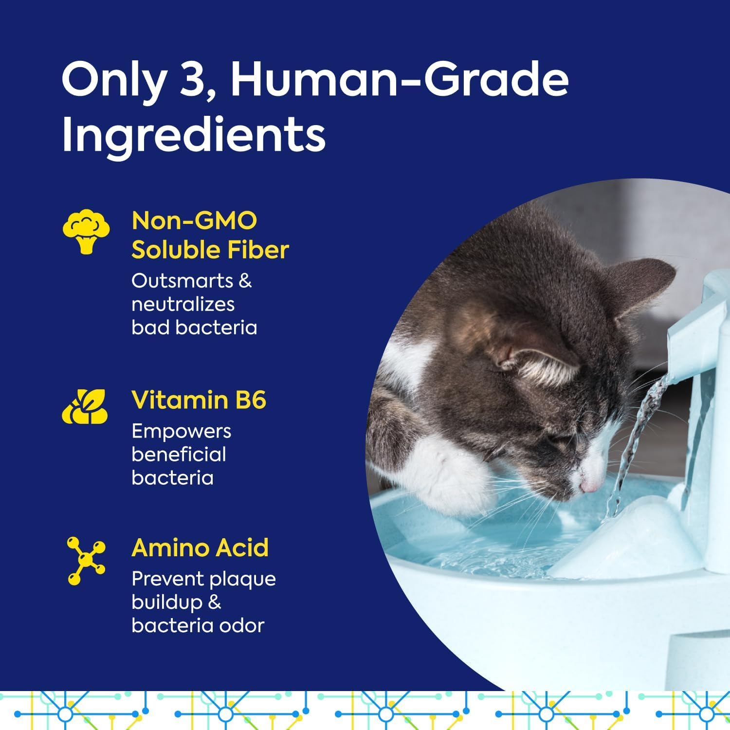 Teef For Life Protektin42+K Plant-Derived Daily Dental Care for All Pets (Sodium-Free), Prebiotic Dental Powder, Naturally Fights Plaque and Tartar, Kit with 90 Servings - Happypetzone.online - Image 7