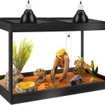 bearded dragon tank