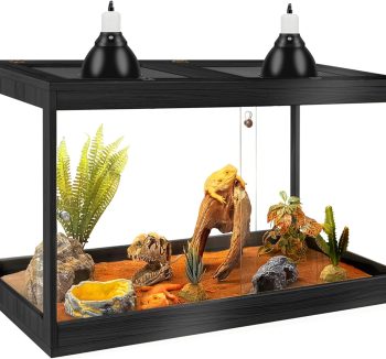 bearded dragon tank