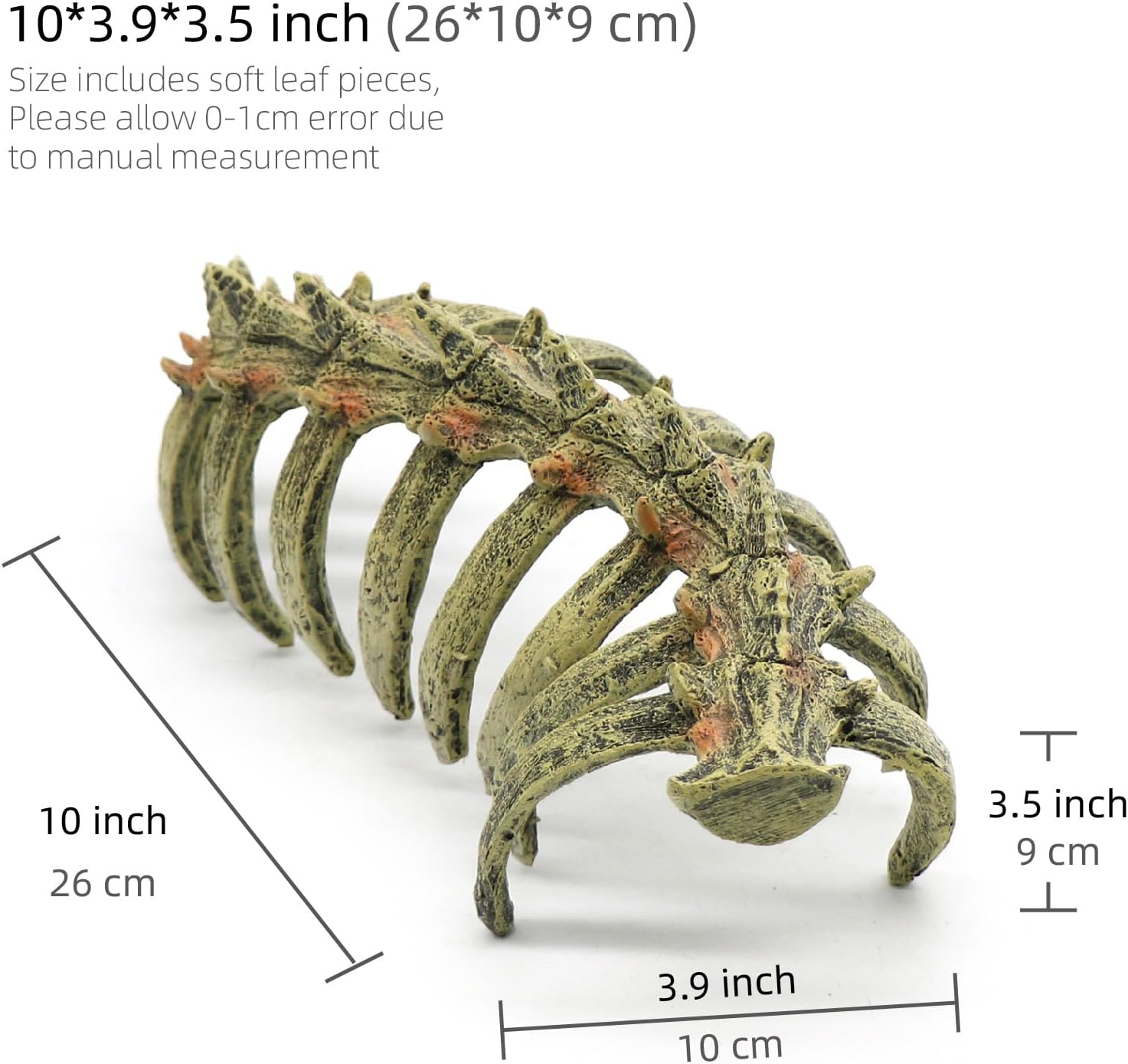 relaqcc Aquarium Skull Animal Skeletons, Reptile Tank Accessories, Fish Tank Decorations for Amphibians, Betta Fish, Shrimp, Hermit Crab, Leopard Gecko - Happypetzone.online - Image 2