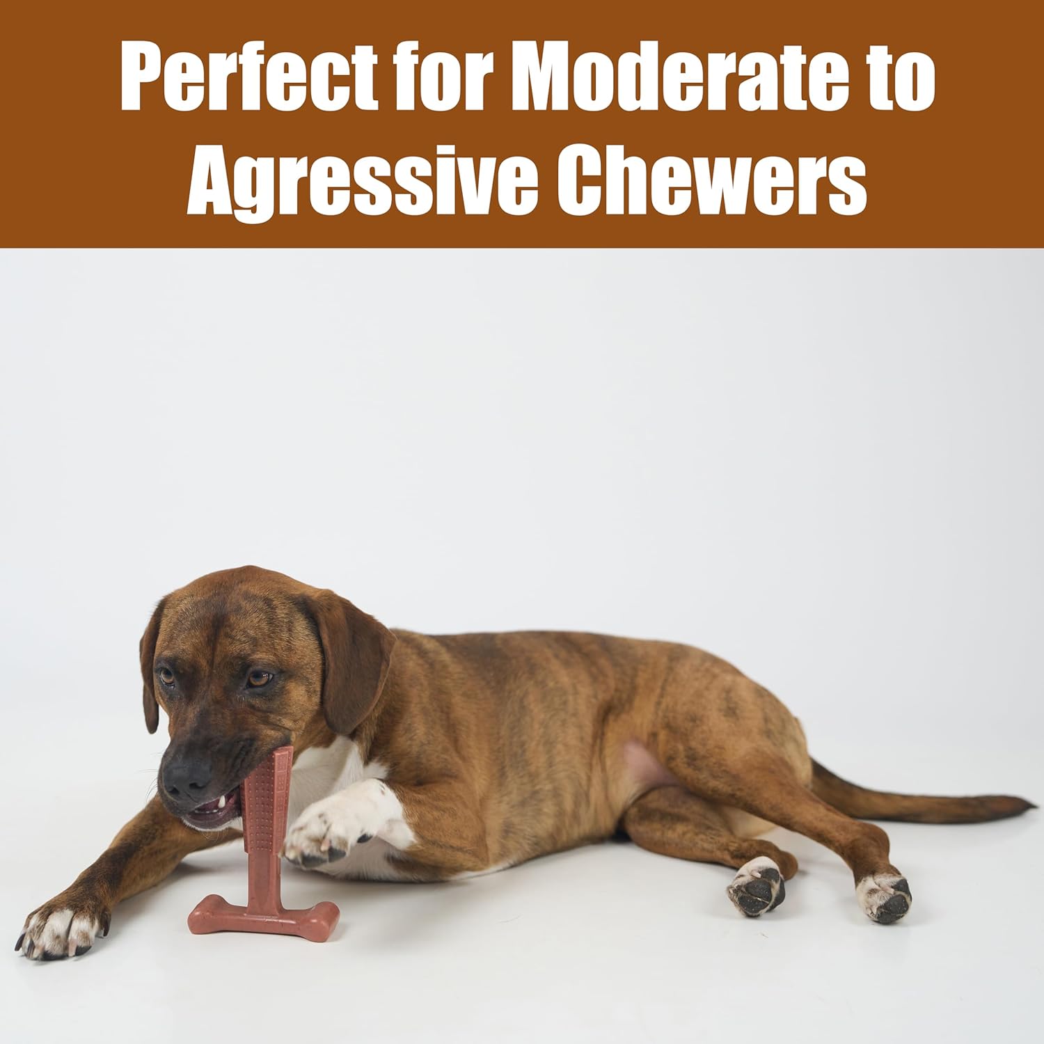 SPOT Bam-Bones Plus T Bone – Bamboo Fiber & Nylon Dog Chew Toy for Moderate to Aggressive Chewers, Durable Long Lasting & Non-Splintering, Beef Flavor Toy for Adult Dogs & Puppies Under 60 lbs, 6 in - Happypetzone.online - Image 6