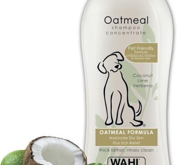 best dog shampoo