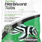 fish food for saltwater fish