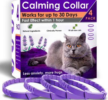 cat anxiety relief