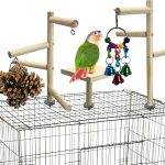 bird cage play top