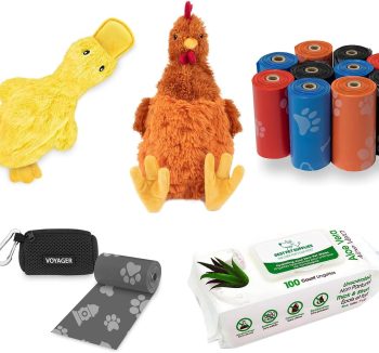 best dog toys
