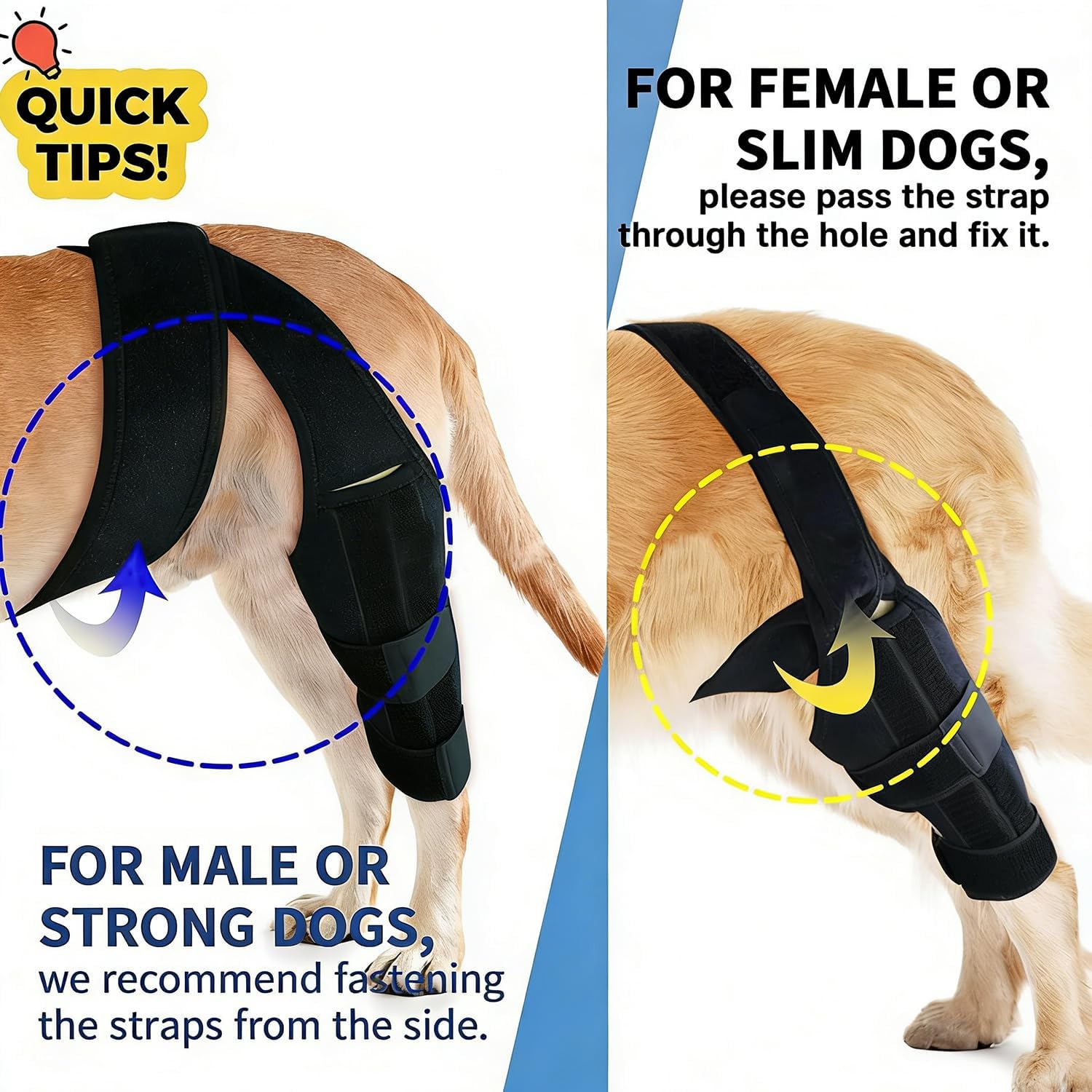 Dog Knee Brace for Torn ACL,Dog ACL Braces with Side Stabilizers,Adjustable Dogs Leg Brace Suitable for 4 Limbs,Dogs Hip Brace for Arthritis Relief, Joint Stability,Reduces Pain and Inflammation - Happypetzone.online - Image 5