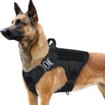 tactical dog harness