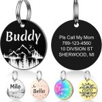 personalized dog collar