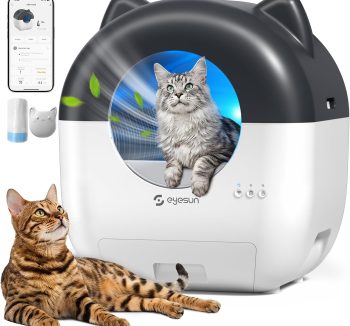 automatic litter box