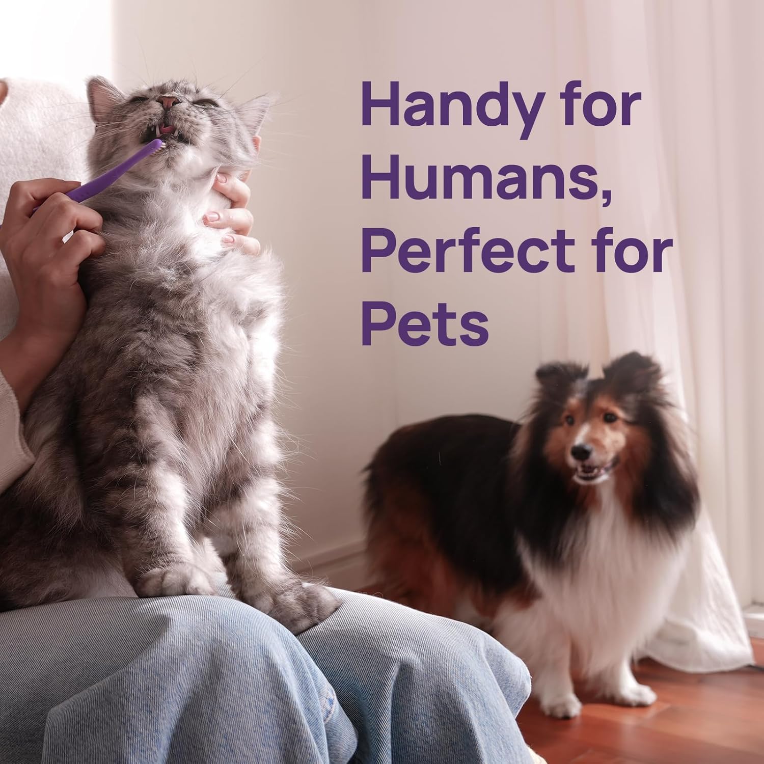 HICC PET Toothbrush for Cats & Small Dogs, Vet-Recommended Ergonomic Pet Toothbrush for Easy Teeth Cleaning, Gentle on Gums, Cat & Dog Dental Care, Improves Oral Hygiene. Toothpaste Not Included - Happypetzone.online - Image 10