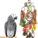 bird health amazon best