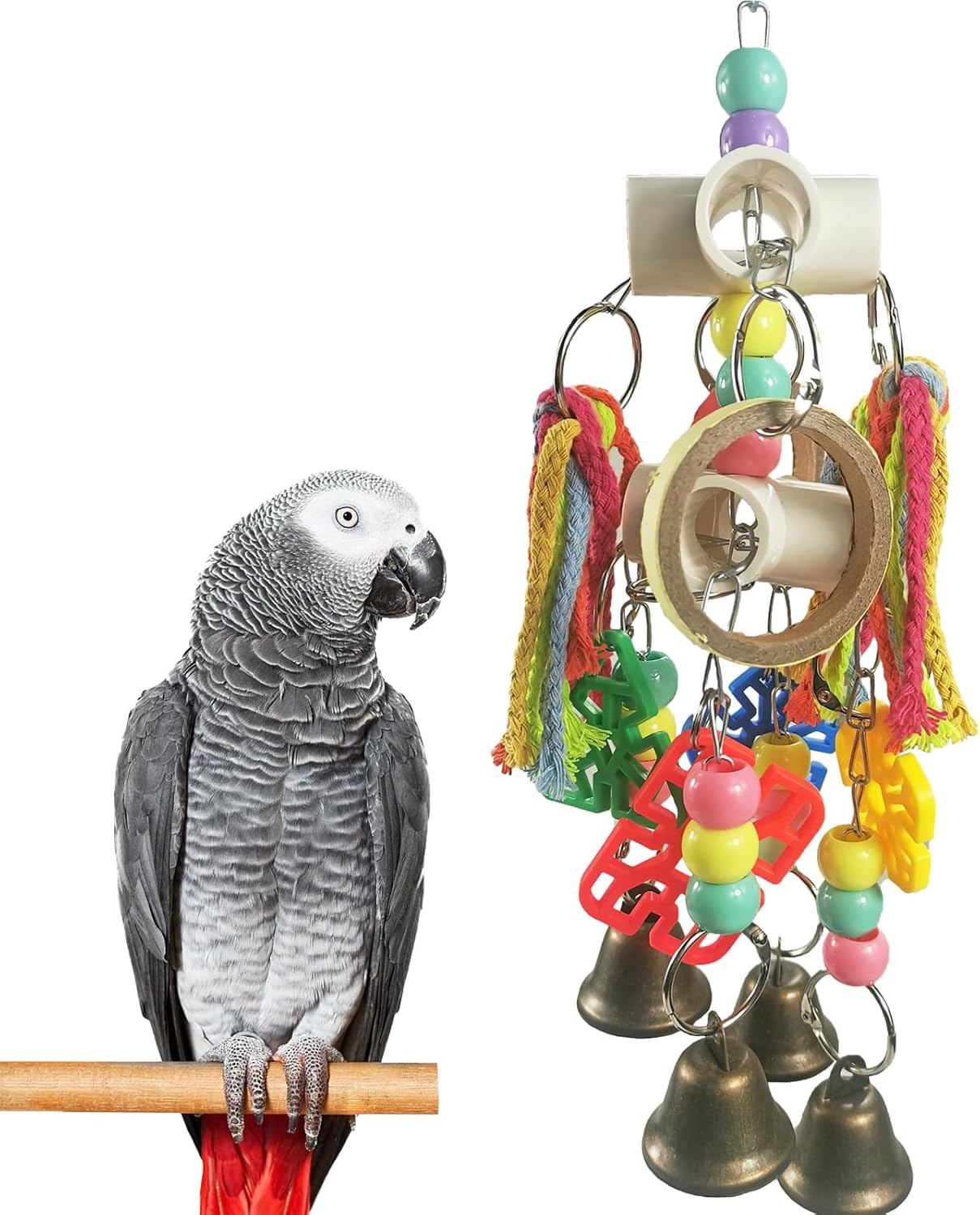 bird health amazon best