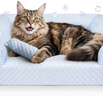cat bed cooling
