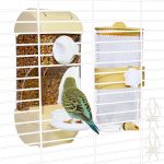 bird feather care supplement