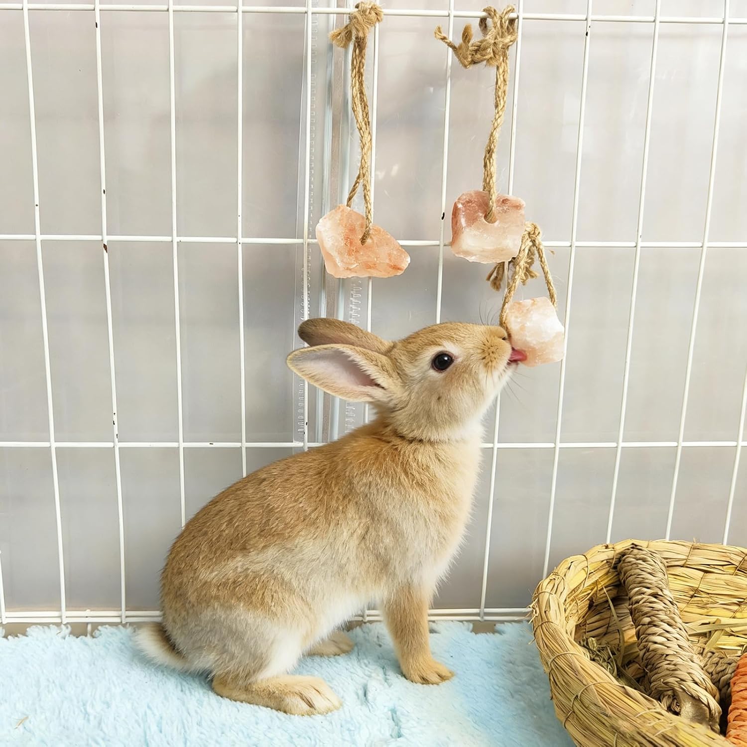 Hamiledyi 8 PCS Rabbit Salt Lick Block Natural Small Animal Himalayan Salt Lick Chew Toys with Hanging Rope Rat Mineral Block Chew Treat Supplies for Bunny Guinea Pig Chinchilla Ferret Hamster - Happypetzone.online - Image 3