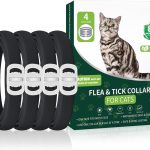 cat tick prevention
