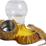 reptile food starter kit