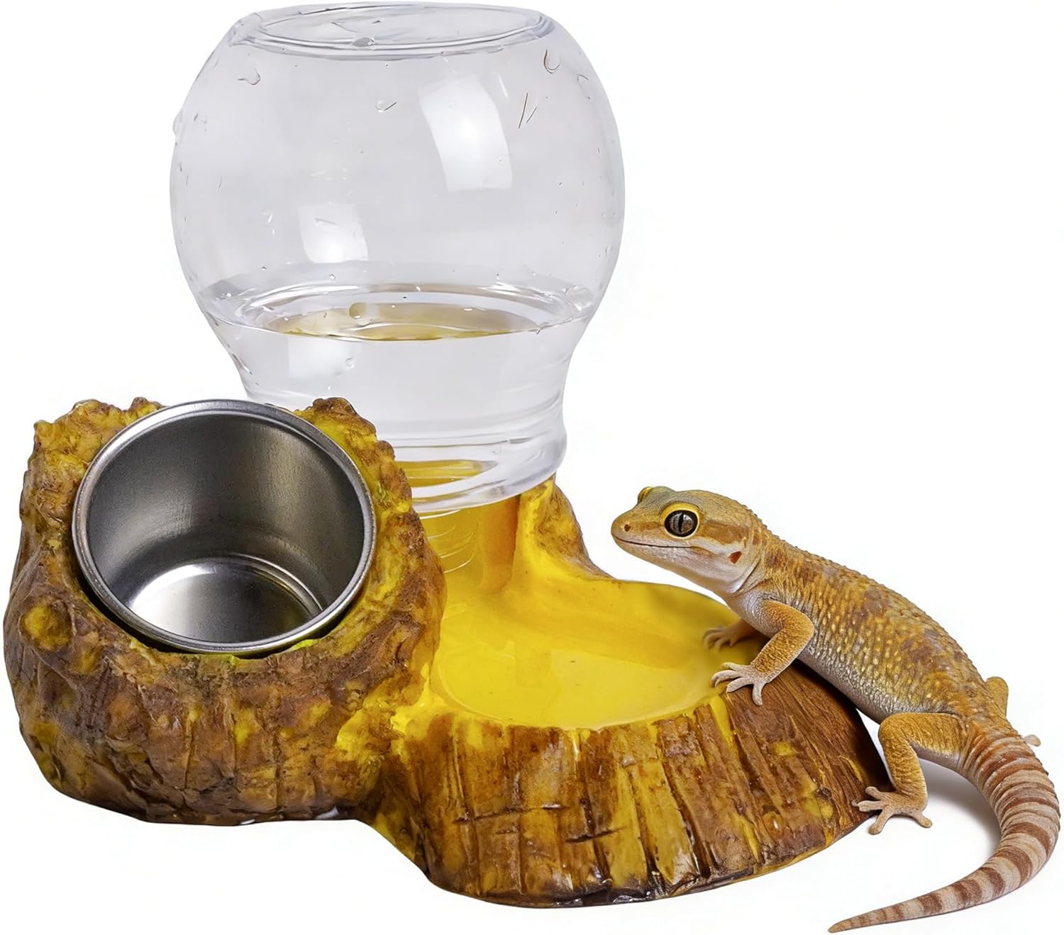 reptile food starter kit