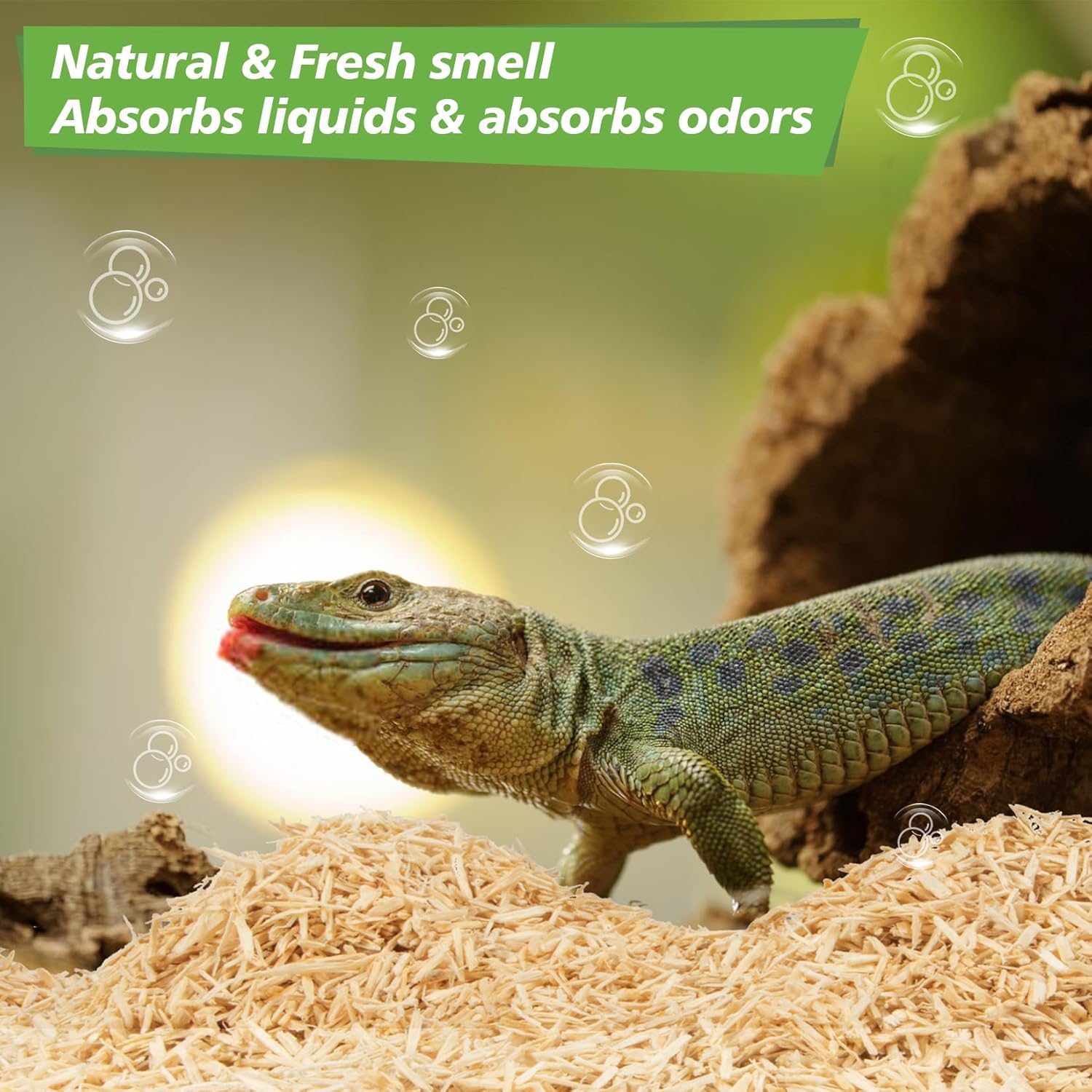 Sukh 14OZ Natural Aspen Shavings Reptile Bedding, Soft Wood Shavings Terrarium & Tank Substrate, Nesting Material for Snake, Lizard, Tortoise, Small Animal, Rabbit, Chicken & Bird - Happypetzone.online - Image 5