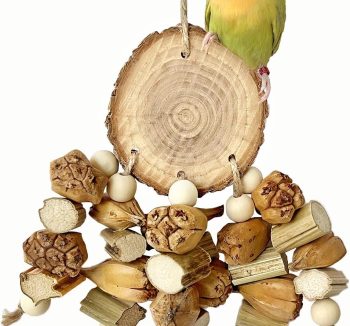 bird perch comfortable grip