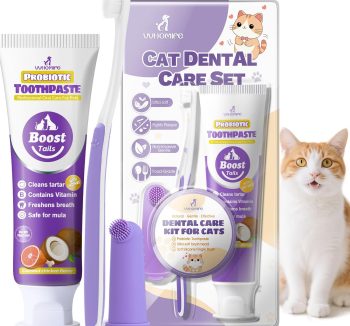cat dental care kit