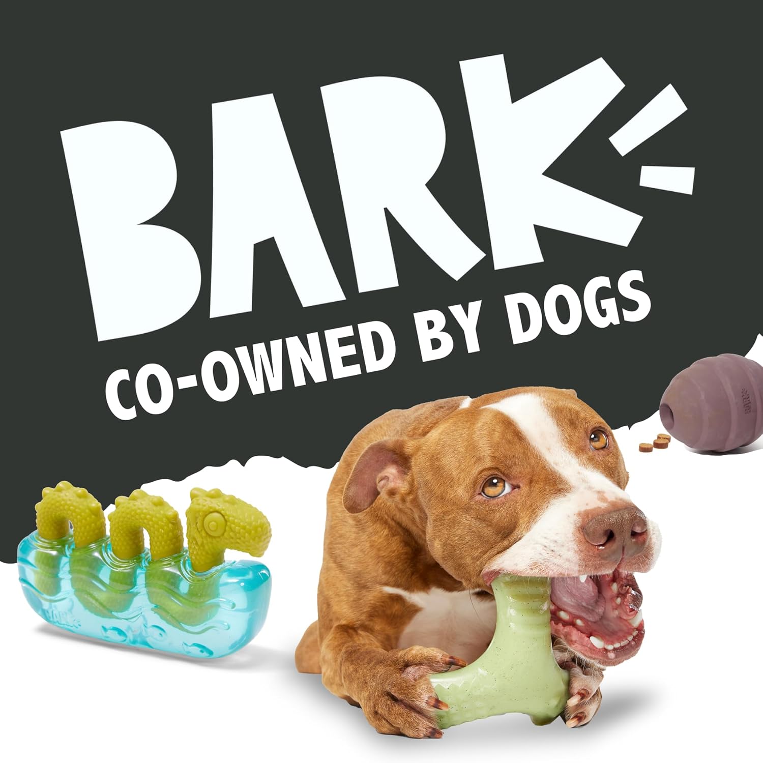 Barkbox Tipsy Treat Gift Pack – Valentine’s Day Plush Treat-Dispensing Dog Toy & Chicken Jerky Heart Treats – Fun Gift Box for Medium to Large Dogs - Happypetzone.online - Image 7